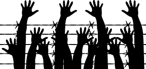 Human