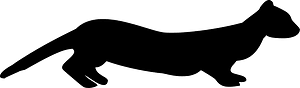 Polecat
