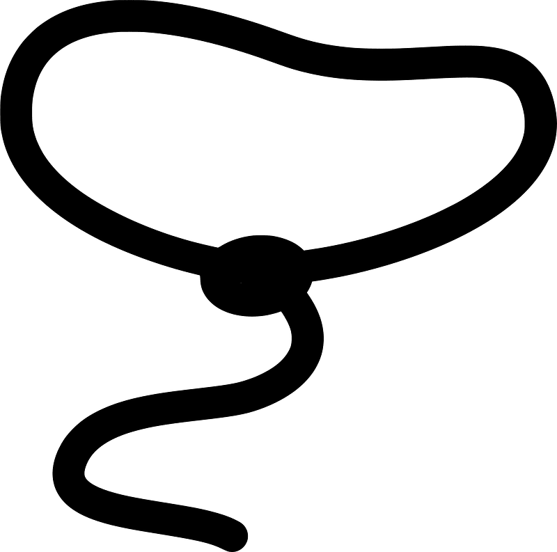 Lasso