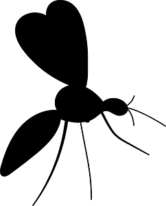 Mosquito