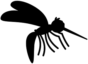 Mosquito