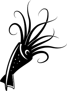 Squid