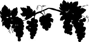 Grapevine