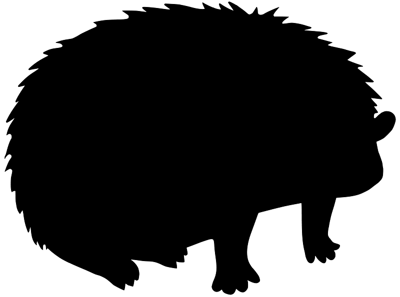 Hedgehog