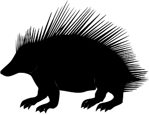 Hedgehog