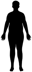 Obese Man Anatomy