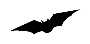Bat