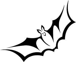 Bat