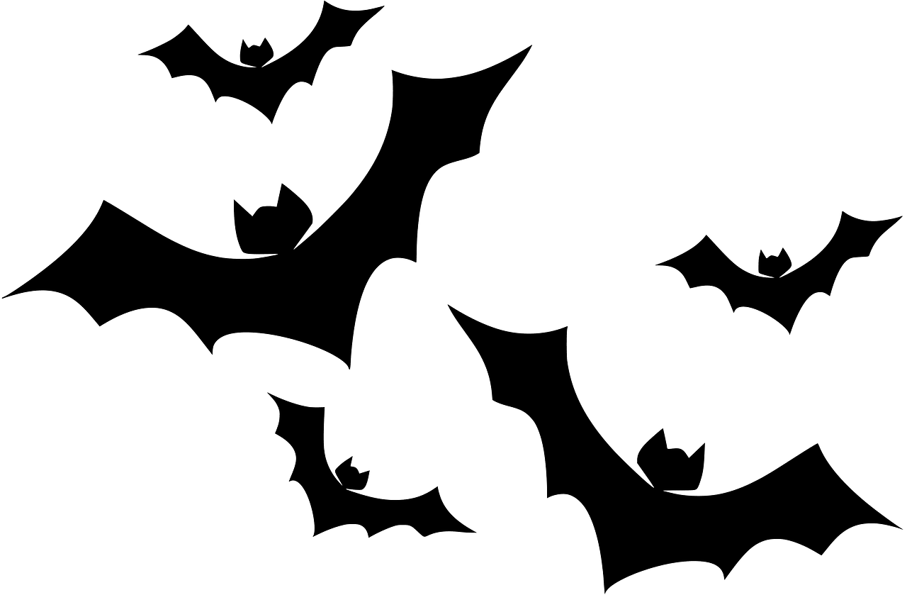 Bats