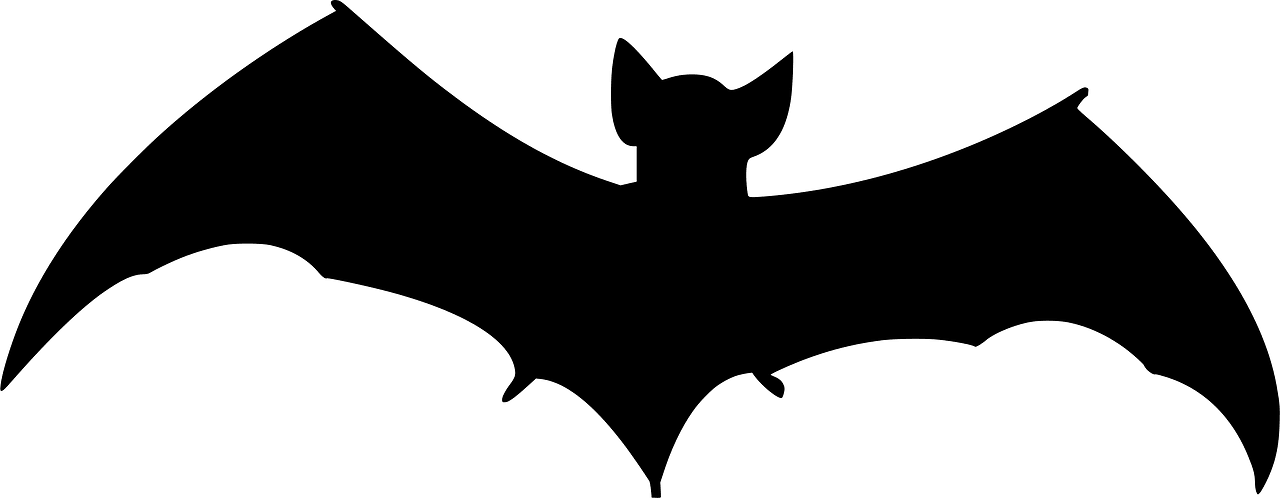 Bat