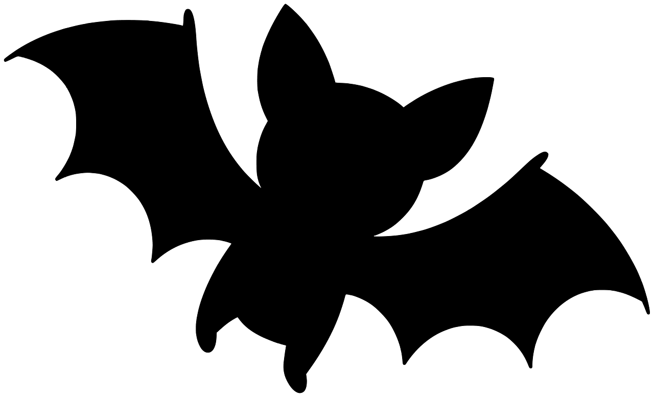 Bat