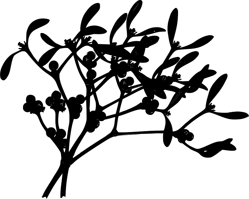 Mistletoe
