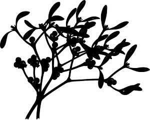 Mistletoe