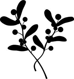 Mistletoe
