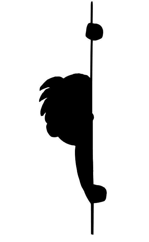 Boy