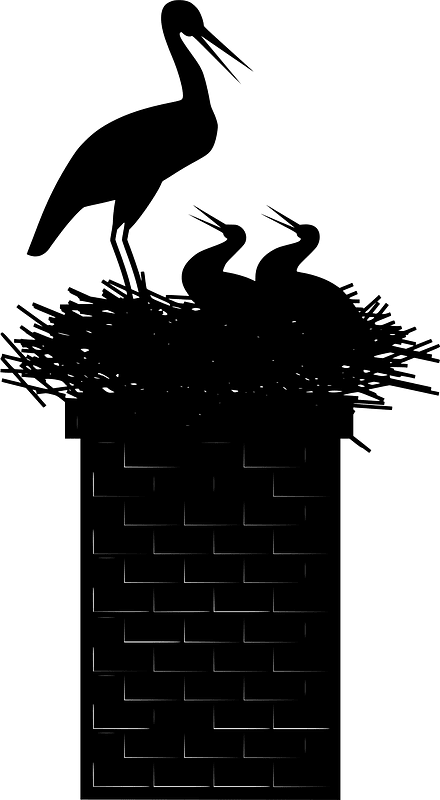 Stork nest