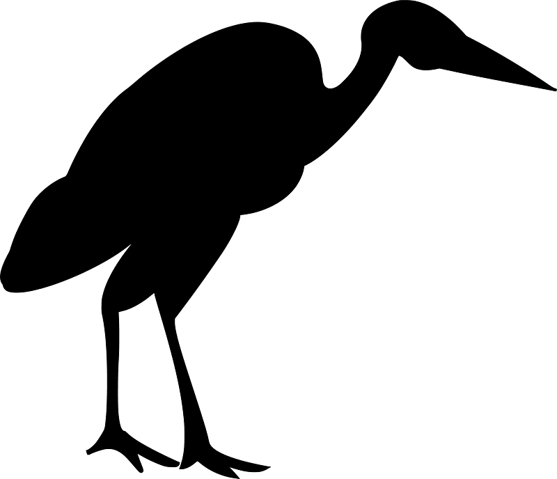 Stork