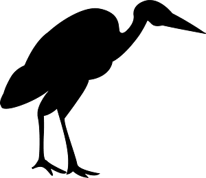 Stork
