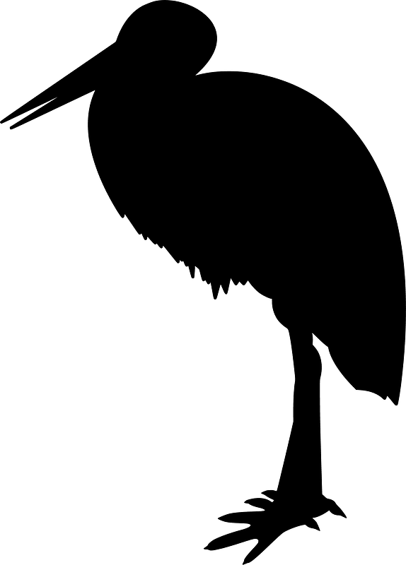 Stork