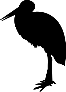 Stork