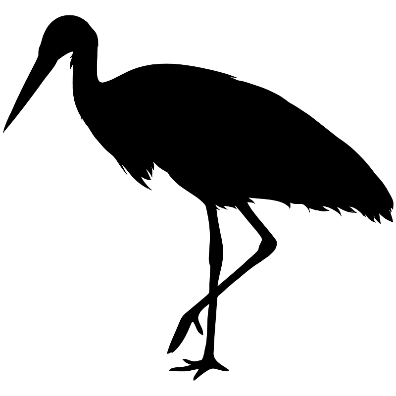 Stork