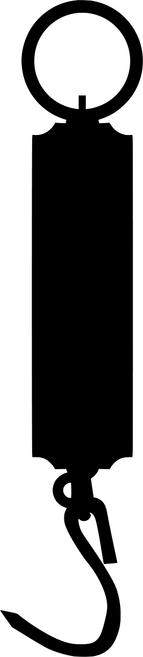 Weight Hook