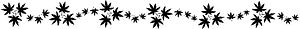 Maple leaf line