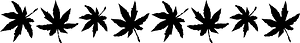 Maple leaf line