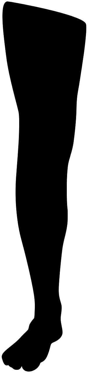 Leg