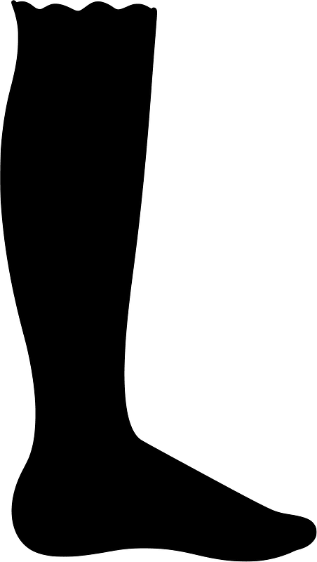 Leg