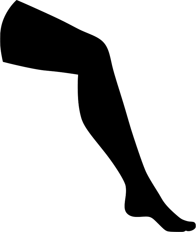 Leg
