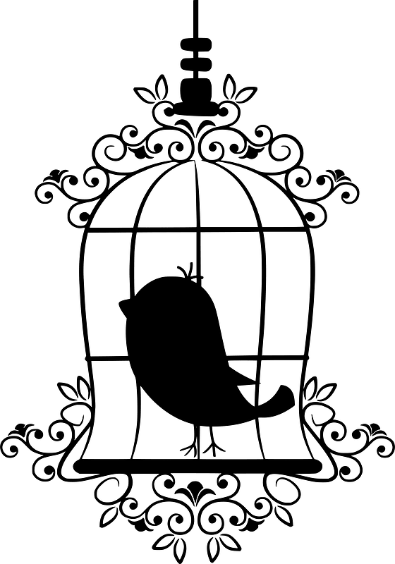 Birdcage with bird