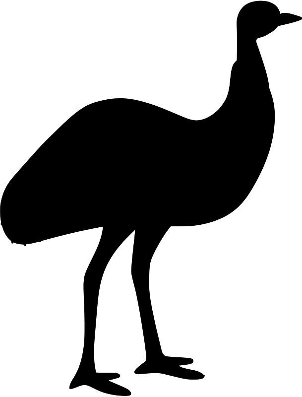 Emu