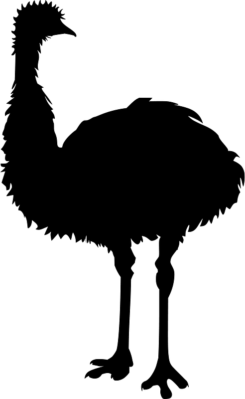 Emu