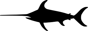Swordfish