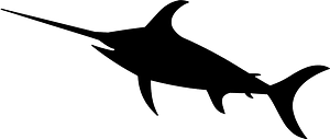 Swordfish
