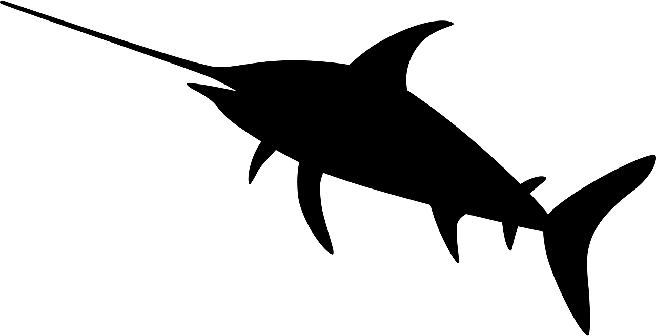 Swordfish