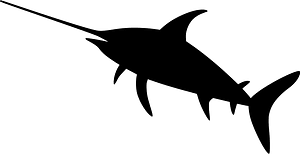 Swordfish