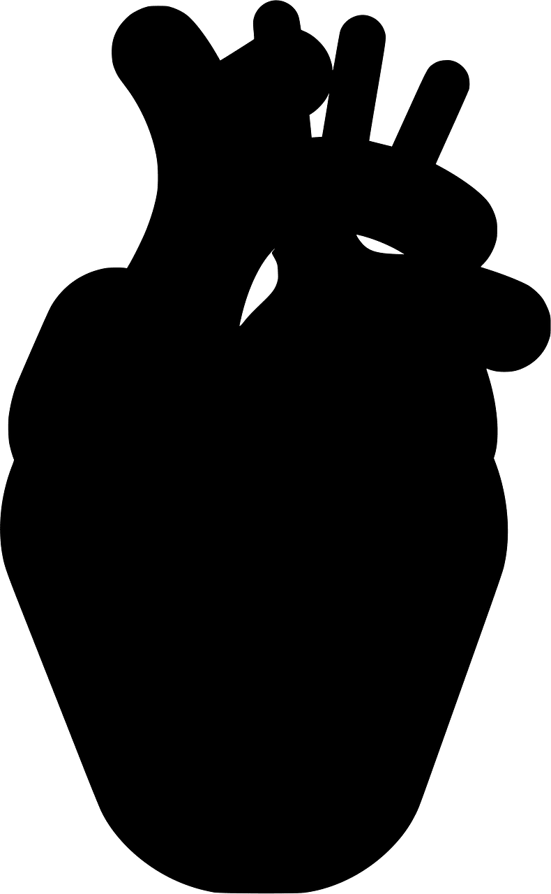 Jantung manusia