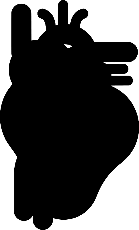 Heart vector