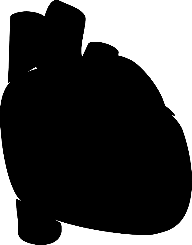 Human Heart