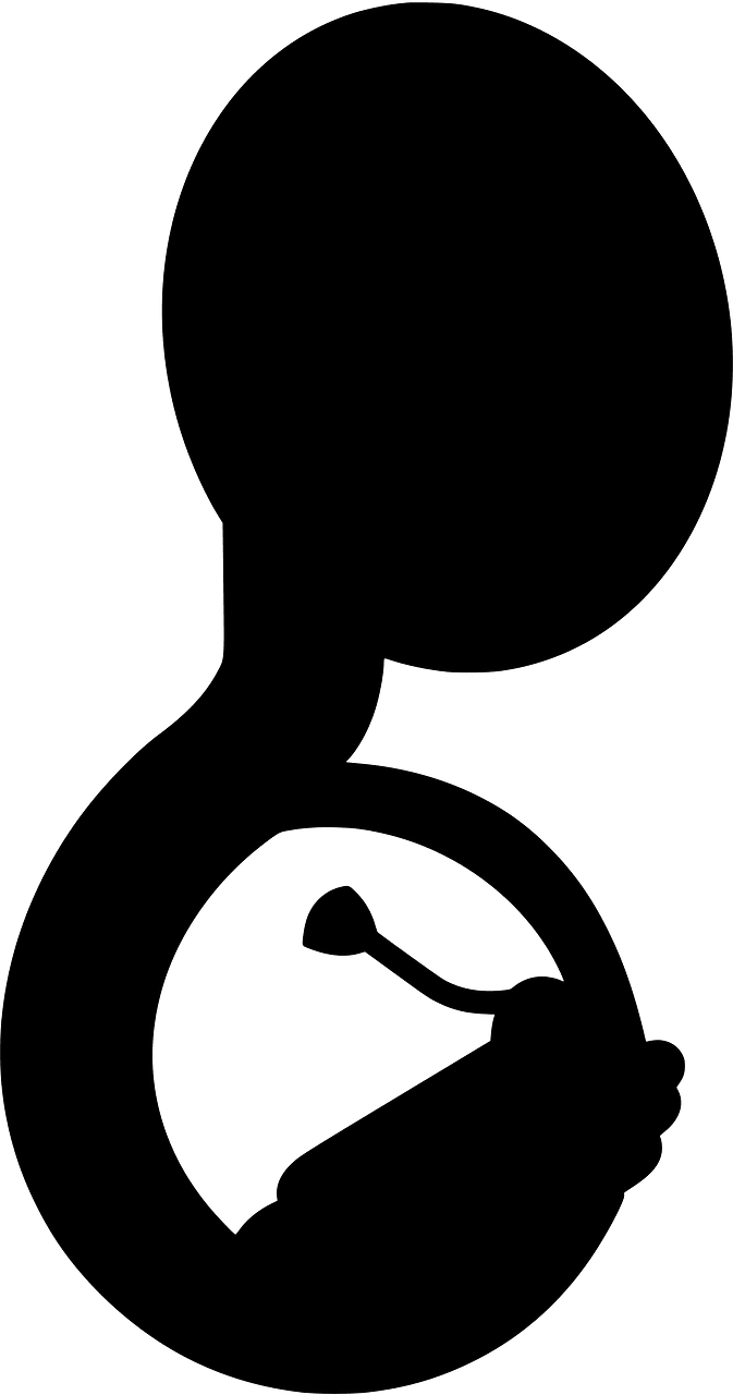수자폰