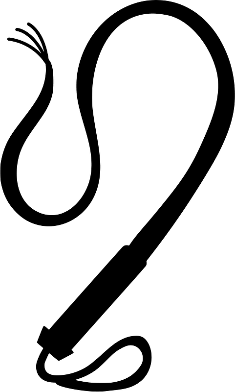 Fouet
