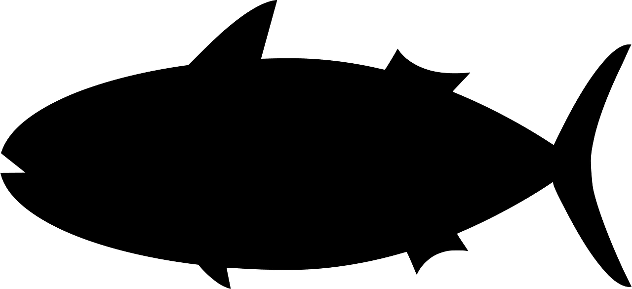 Skipjack tuna