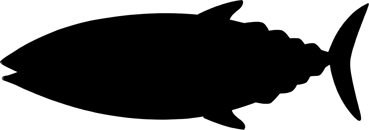 Skipjack tuna