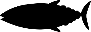 Skipjack tuna