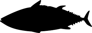 Skipjack tuna