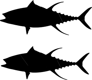 Tuna fish silhouette