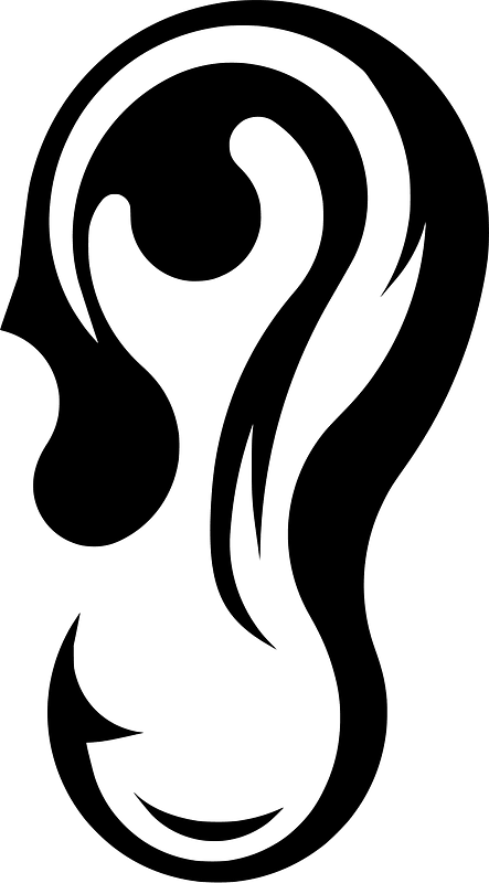 Human ear