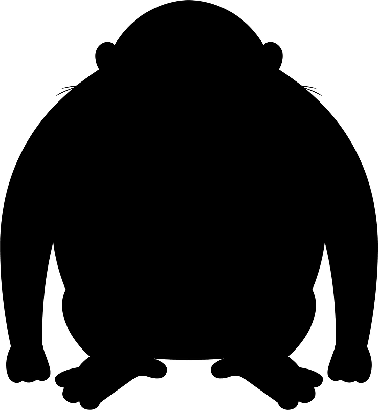 Orangutan